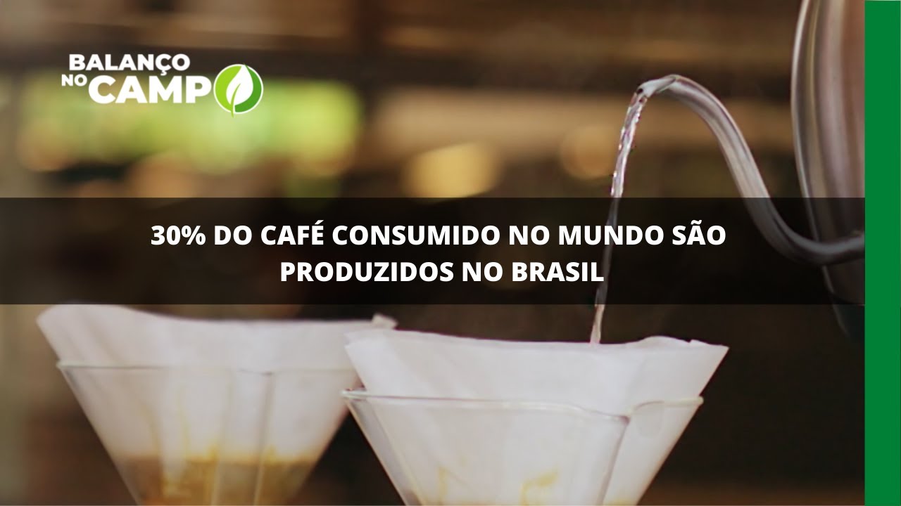 30 do café consumido no mundo são produzidos no Brasil Rede Mais