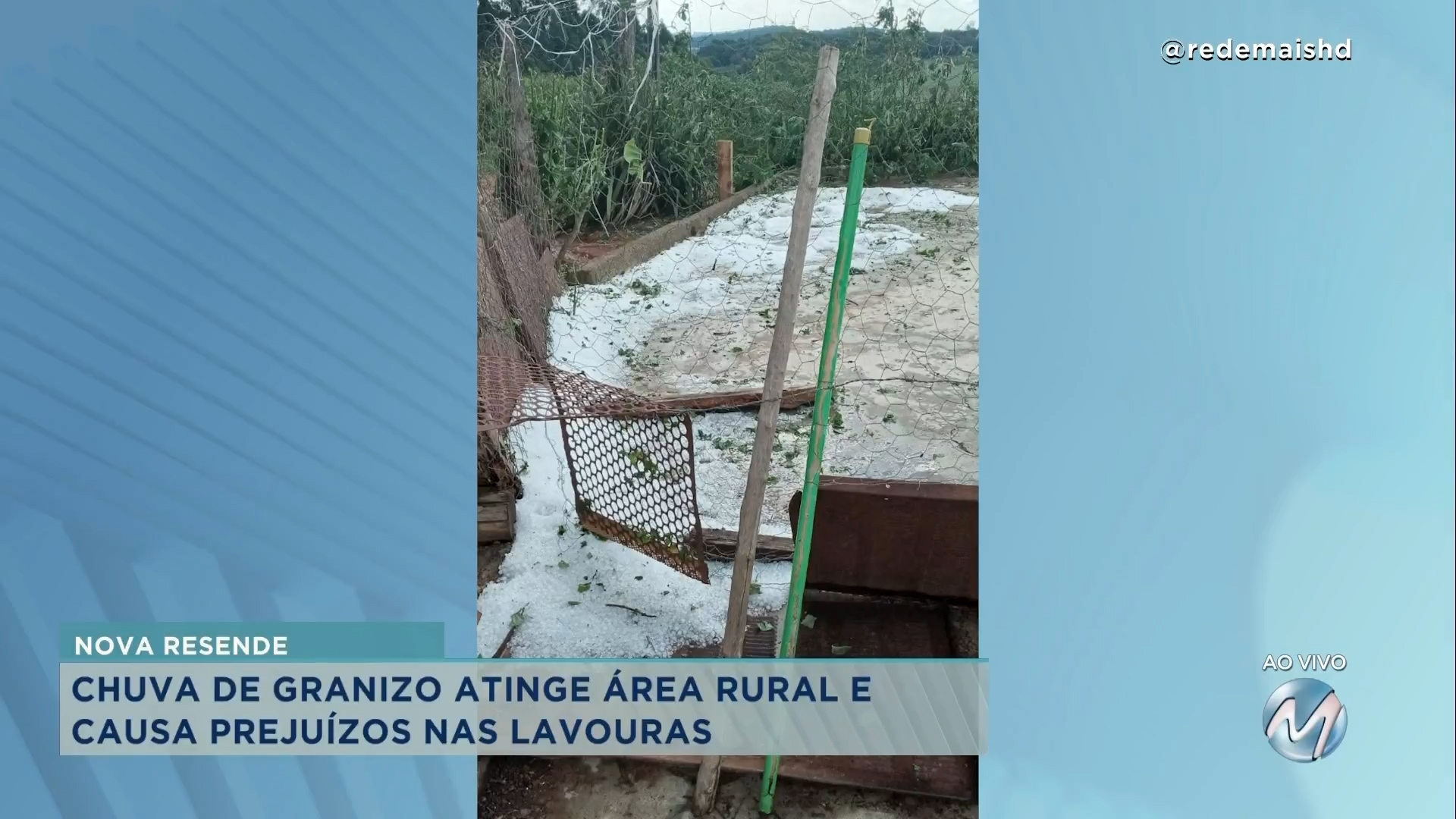 Chuva de granizo causa prejuízos em lavouras de Nova Resende Rede Mais