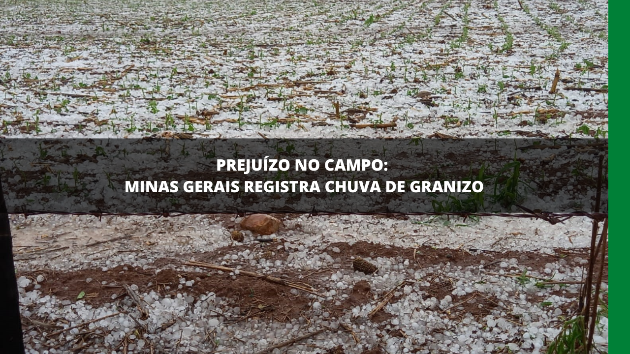 Chuva De Granizo Em Minas Rede Mais