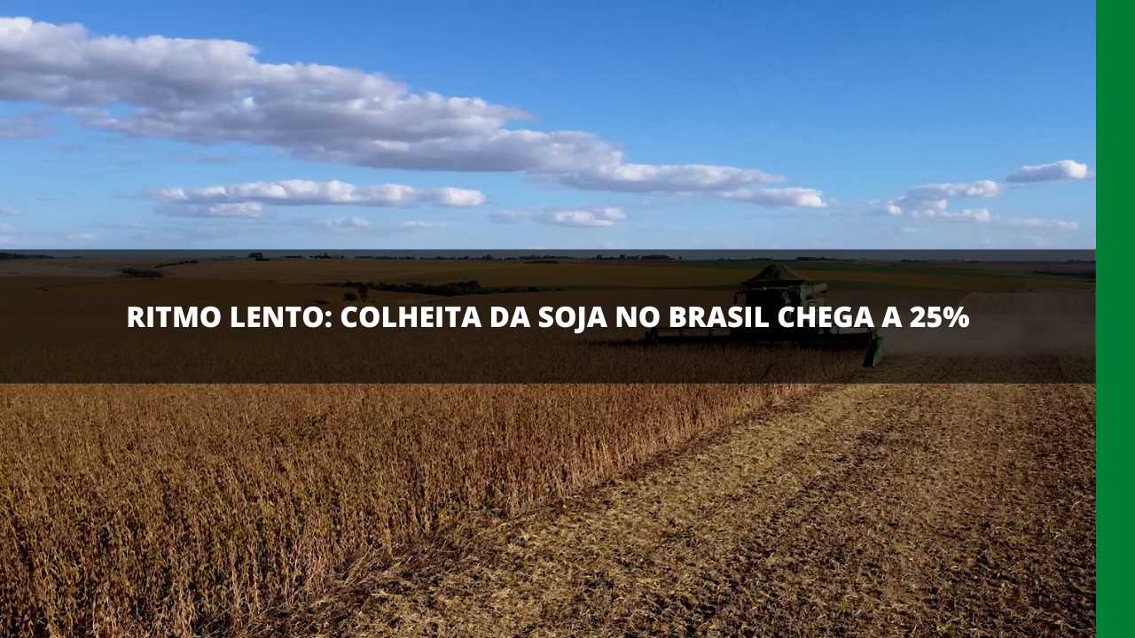 Colheita De Soja No Brasil Rede Mais