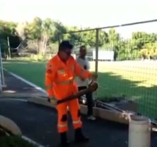 Janaúba: cobra é capturada em clube no Norte de Minas