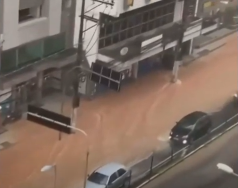 Chuva em Juiz de Fora: ruas ficam alagadas e árvores caem em casas