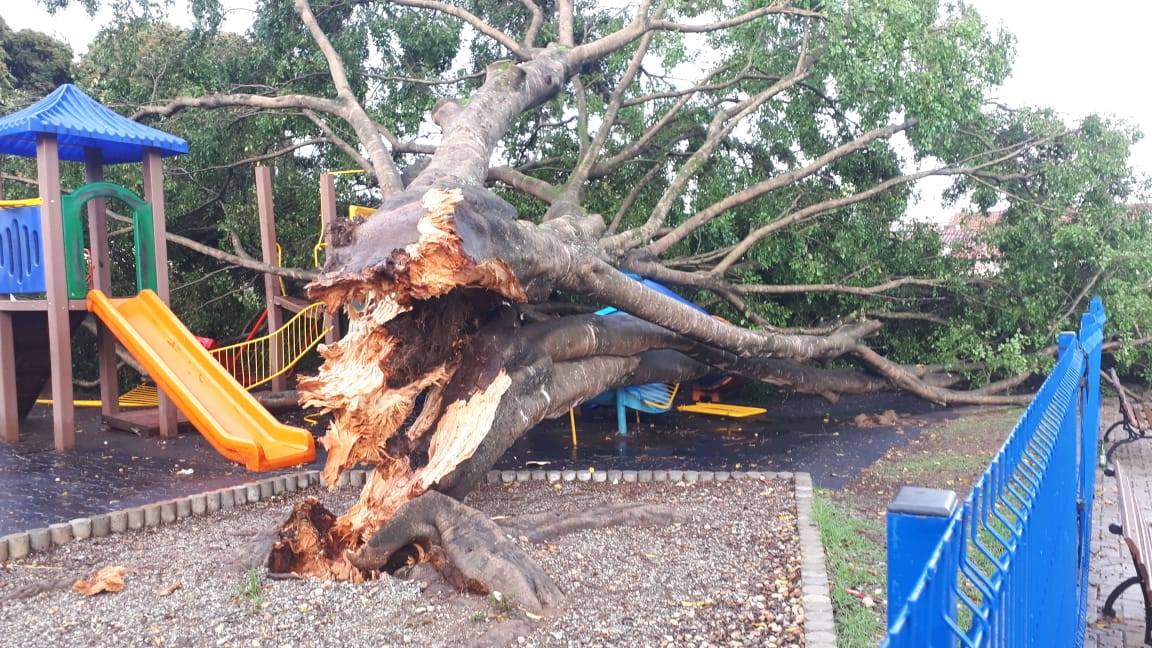 Chuva causa prejuízos para moradores em Pouso Alegre