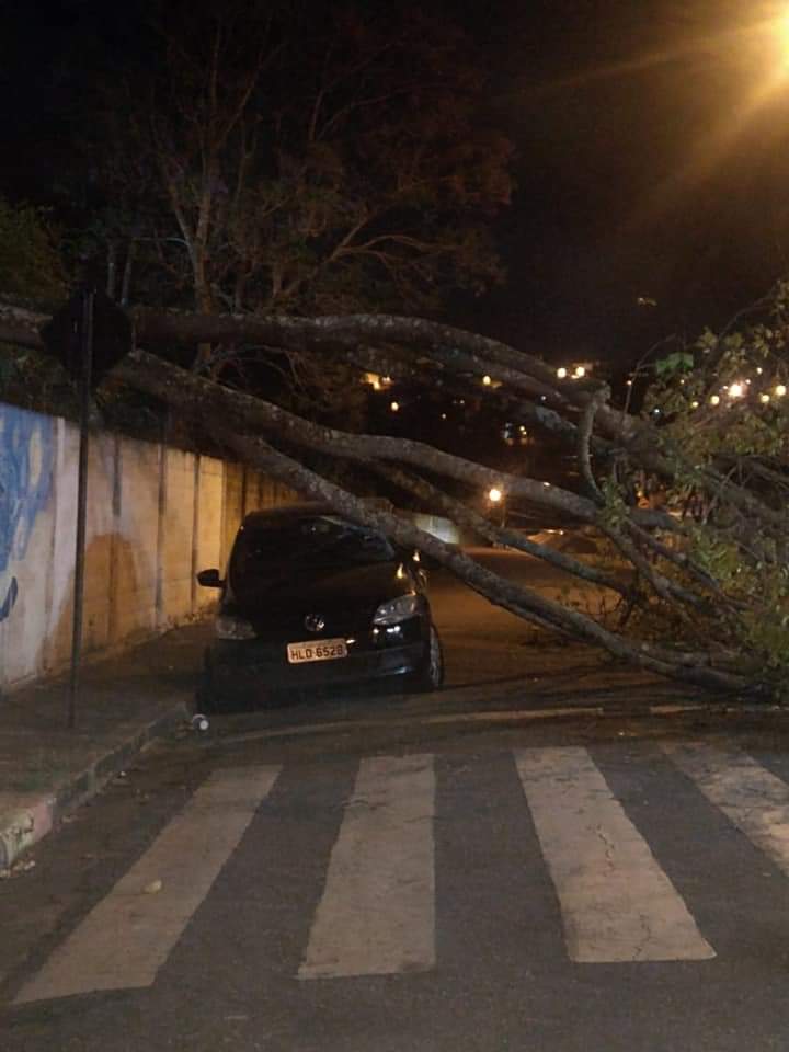 Varginha: árvore cai em carro estacionado no Sion
