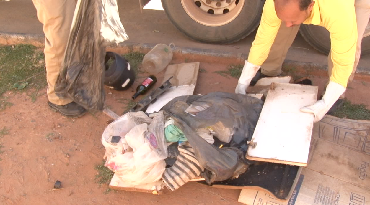 Febre amarela: agentes de saúde intensificam combate ao Aedes Aegypti