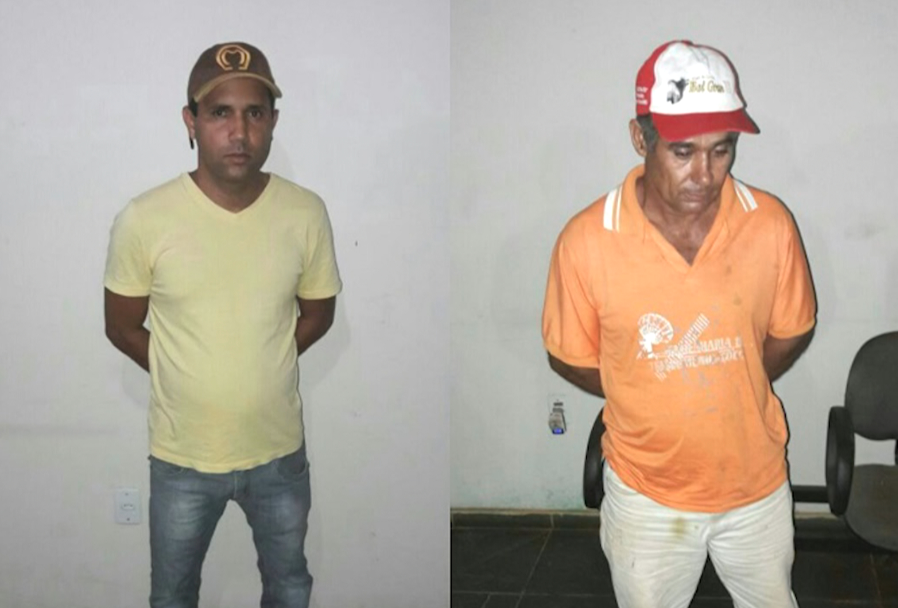 Roubo em fazenda: onze vacas foram levadas