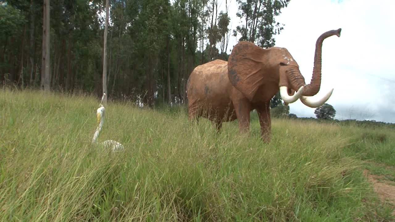 Safari artificial: artesão cria animais em sítio no Sul de Minas