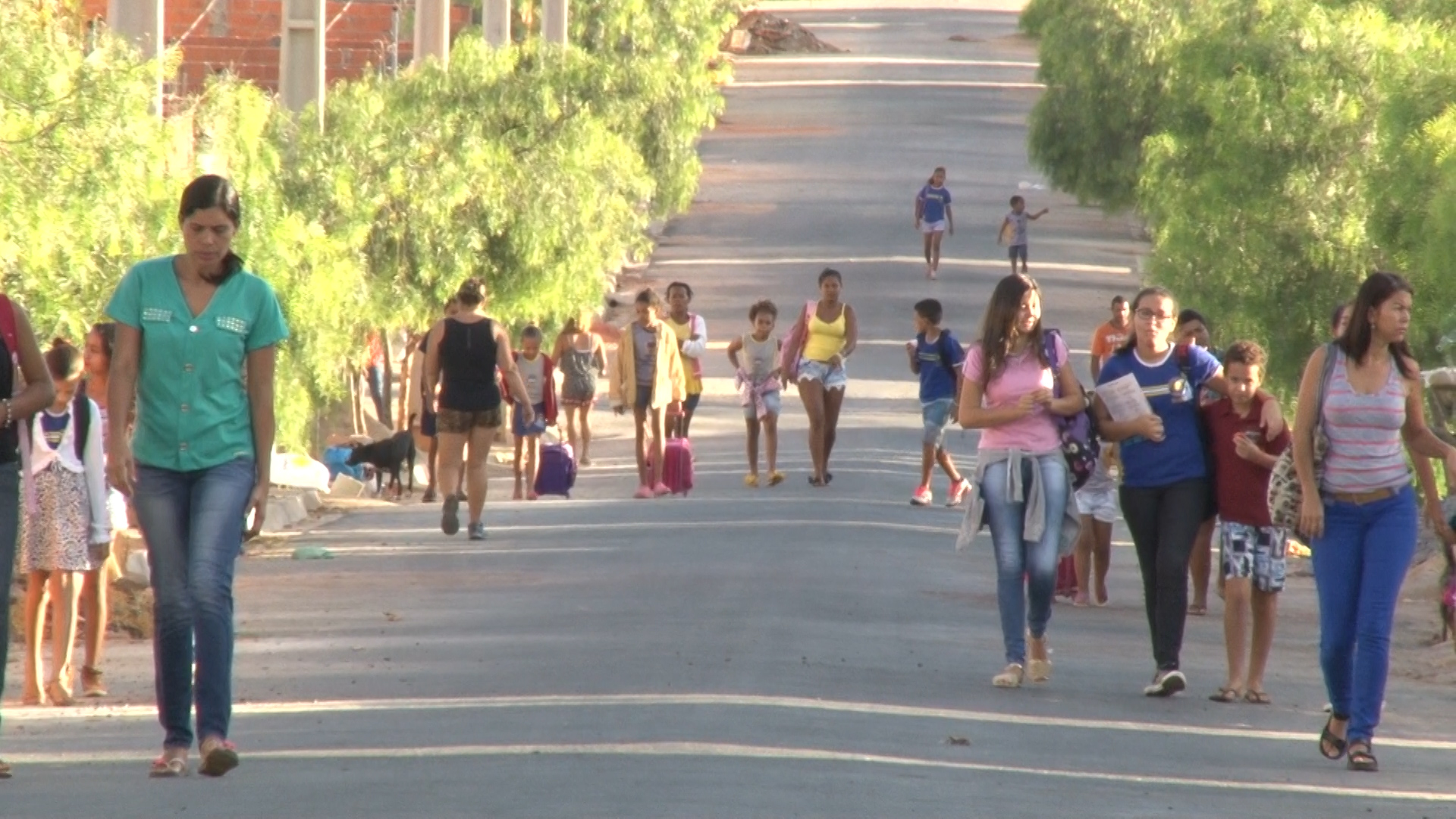 Sem ônibus escolar: Estudantes estão perdendo aulas