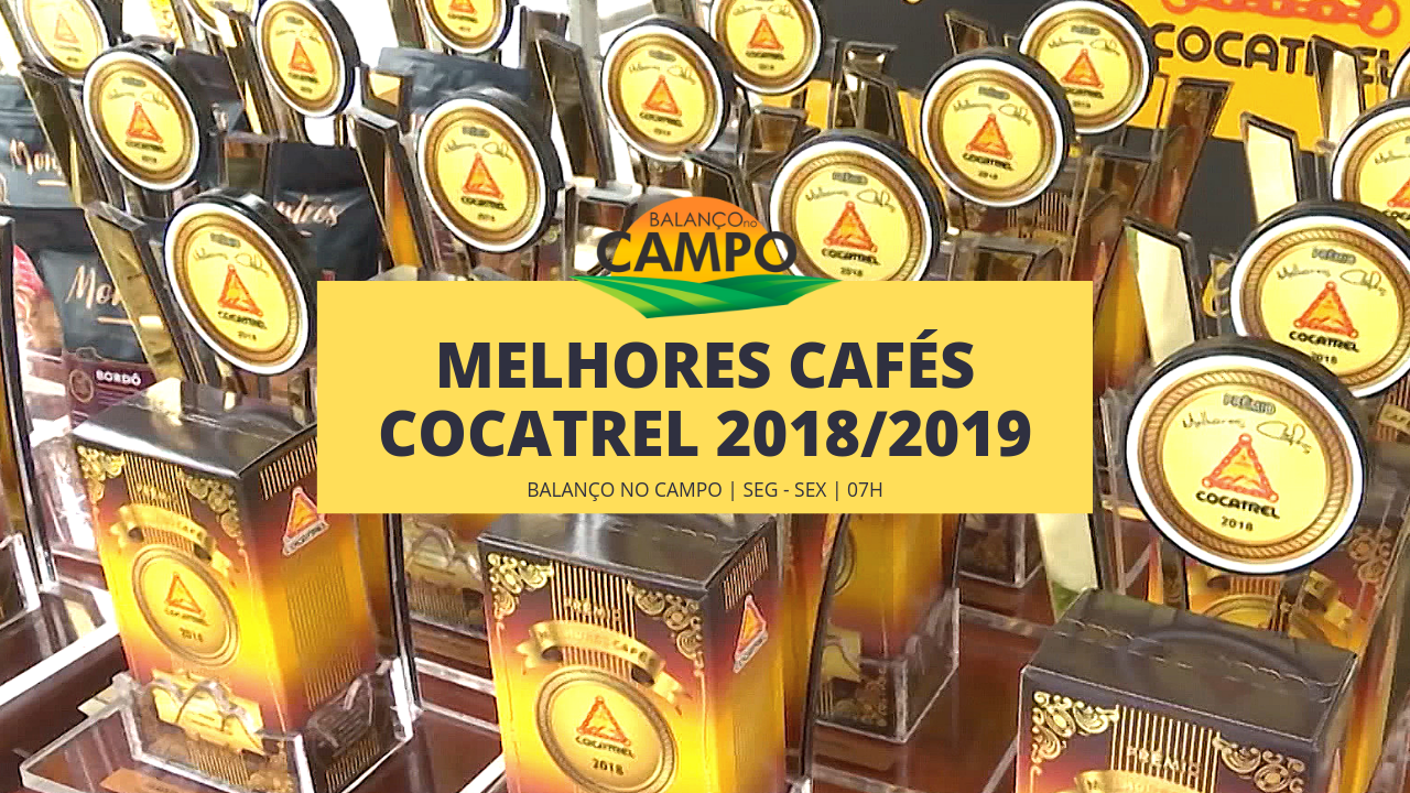 Melhores cafés Cocatrel 2018/2019