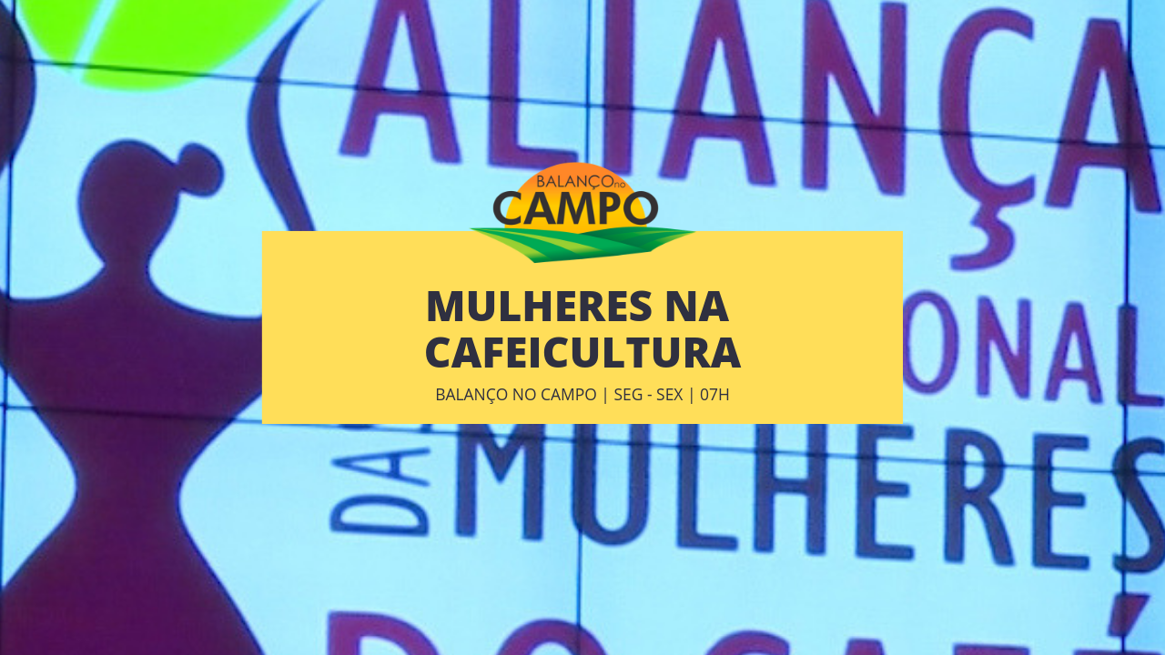 Mulheres e o mercado de café