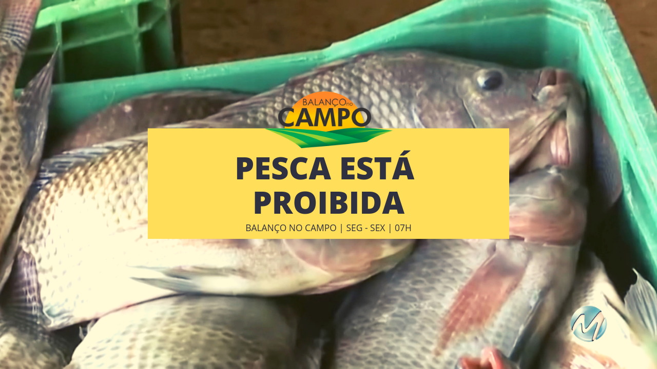 Piracema: Pesca está proibida