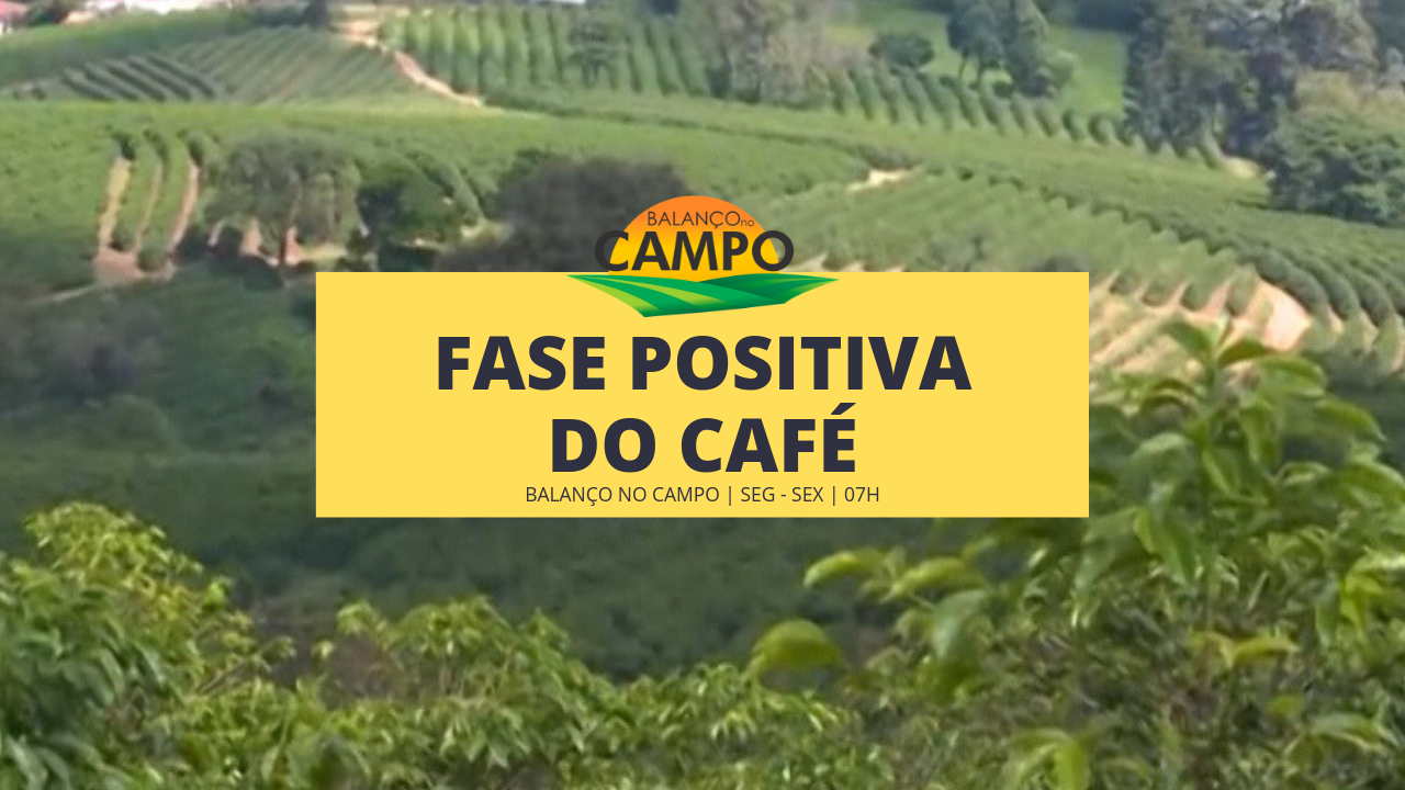 Cafeicultura vive fase positiva