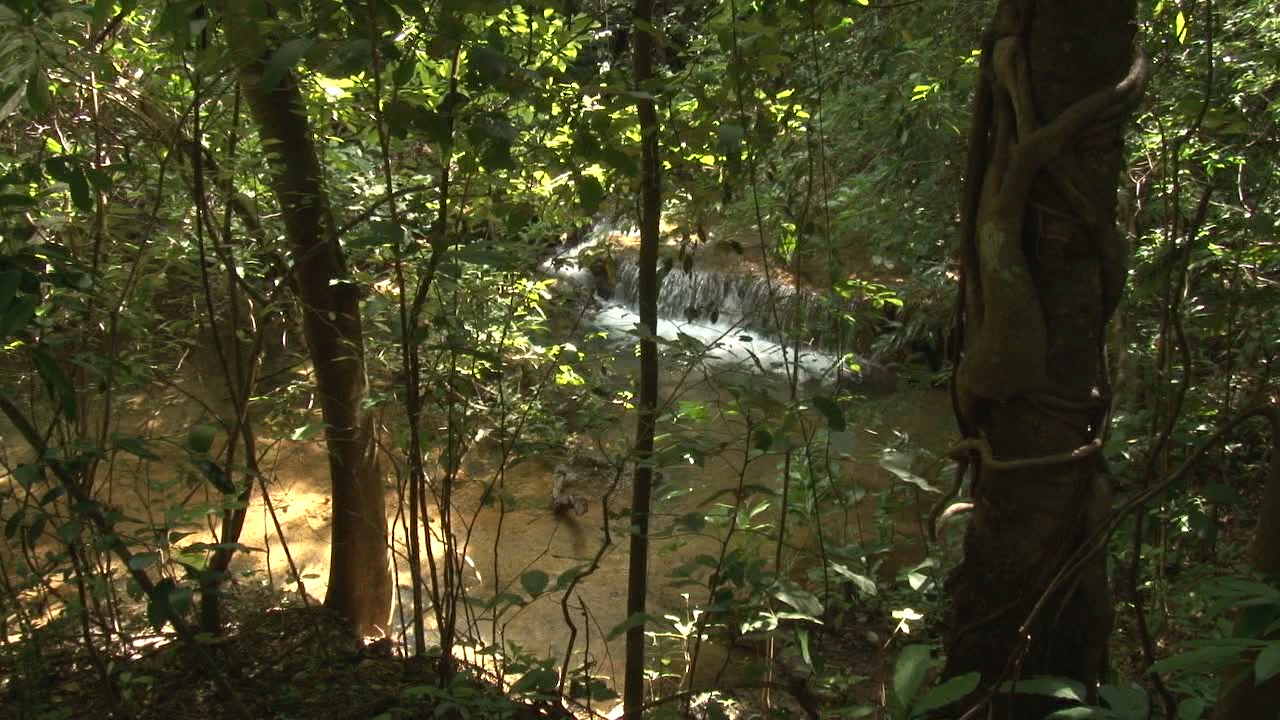 Parque Estadual Lapa Grande é reaberto ao público em Montes Claros