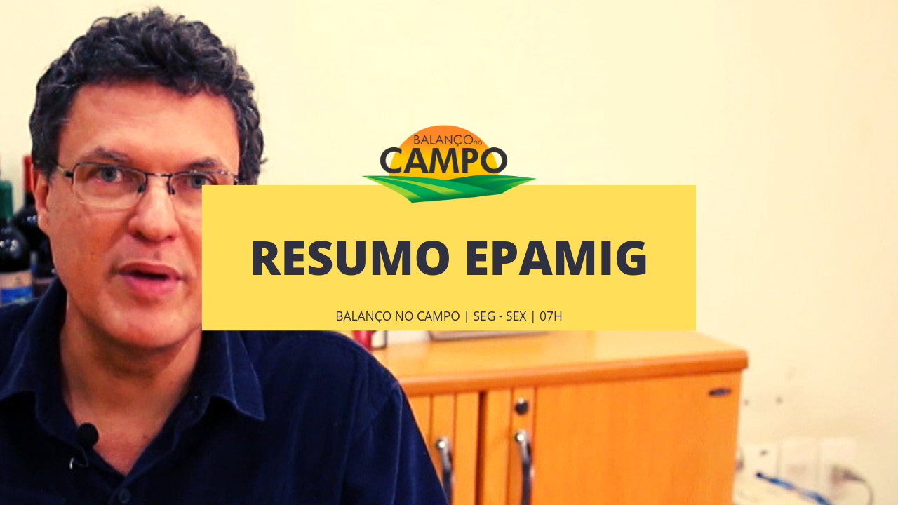 EPAMIG publica resumo dos impactos econômicos na agropecuária