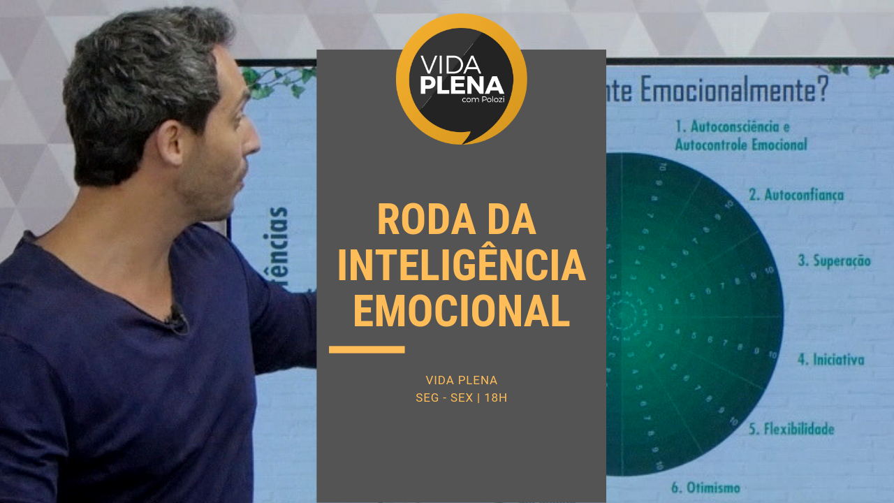 Conheça a roda de competências da inteligência emocional