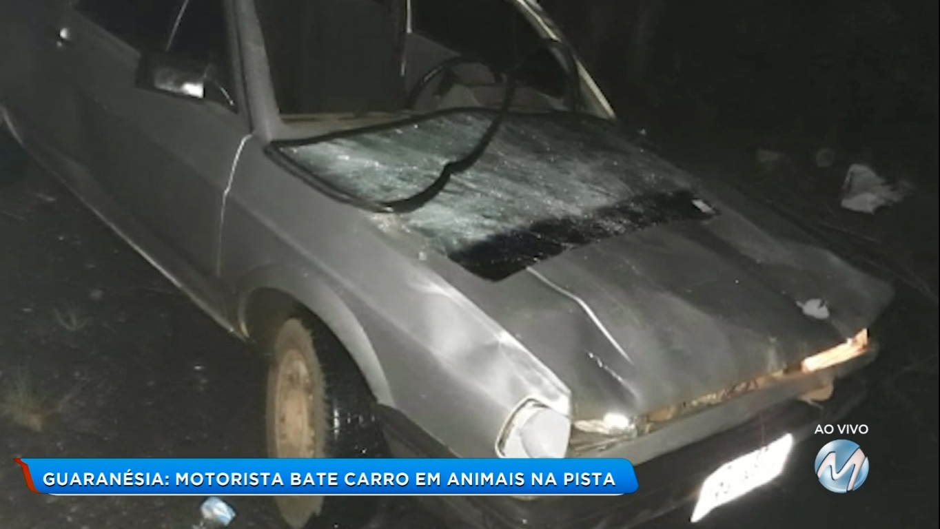 Guaranésia: motorista bate carro em animais na pista
