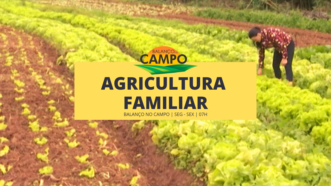 Valorização da agricultura familiar