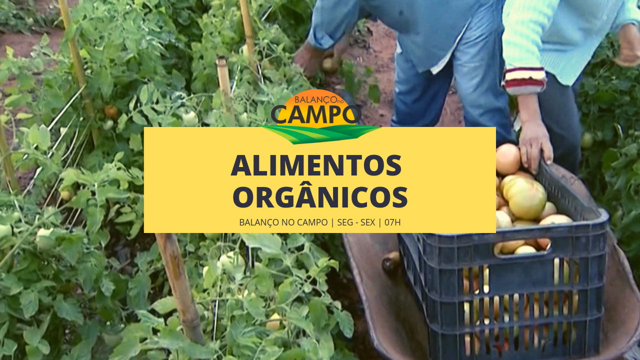 Alimentos orgânicos ganham a preferência em todo país