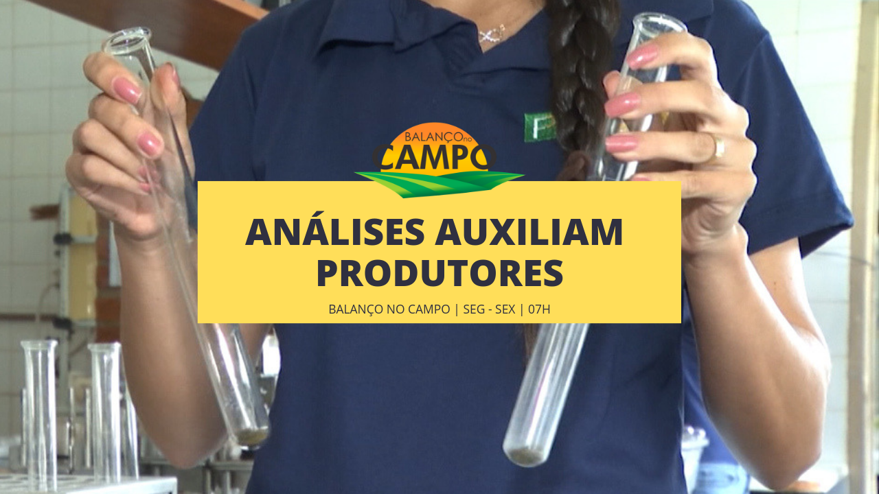 Análises mais cuidadosas do solo e das folhas auxiliam produtores