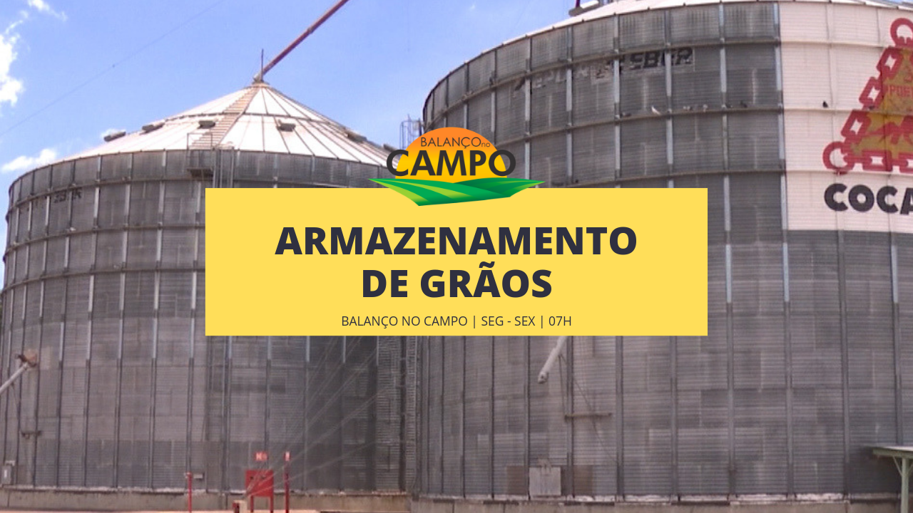 Armazenamento de grãos é destaque em cooperativa