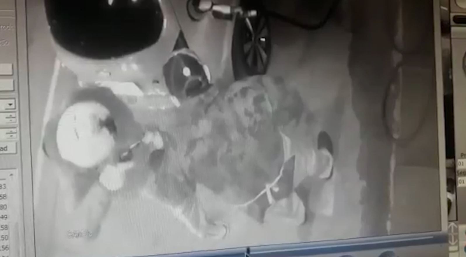 Machado: Câmera flagra assalto em posto de combustíveis