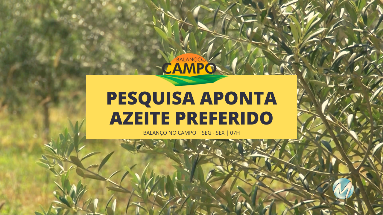 Pesquisa da UFLA aponta azeite de Maria da Fé como preferido