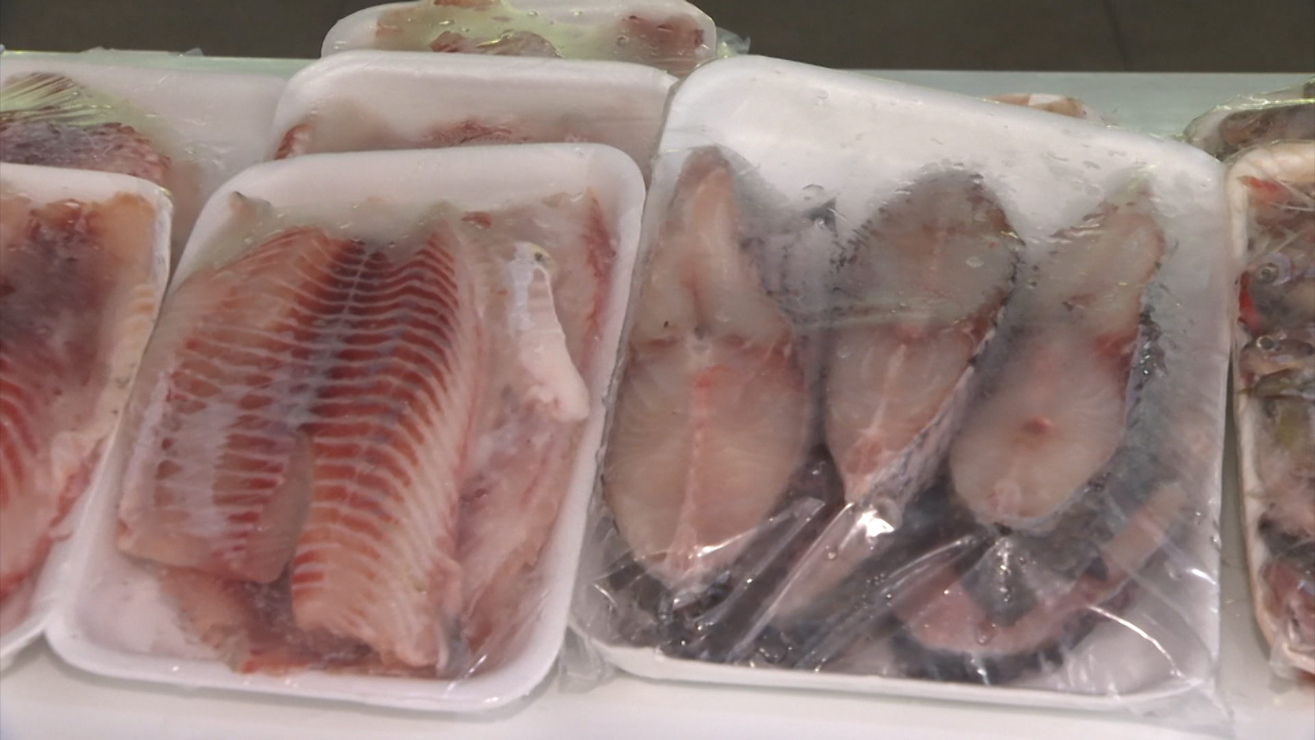 Quaresma: aumenta a venda de peixes