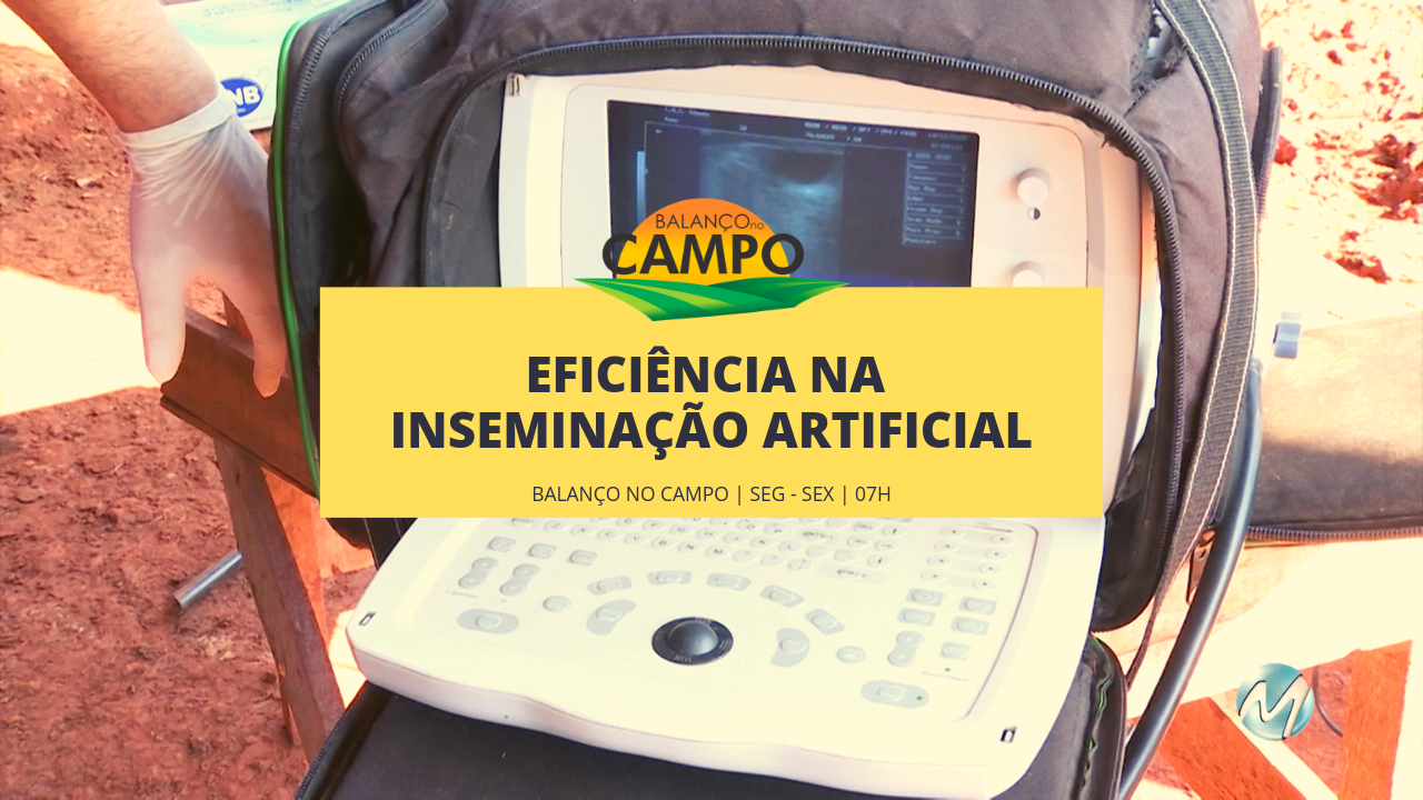 Melhora genética no rebanho: Pesquisa da UFLA reduz tempo na inseminação artificial