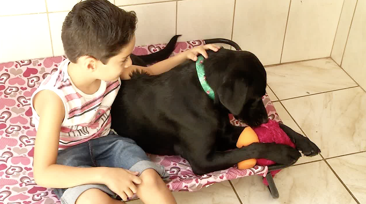 Cadela ‘popstar’ conquista fãs nas redes sociais