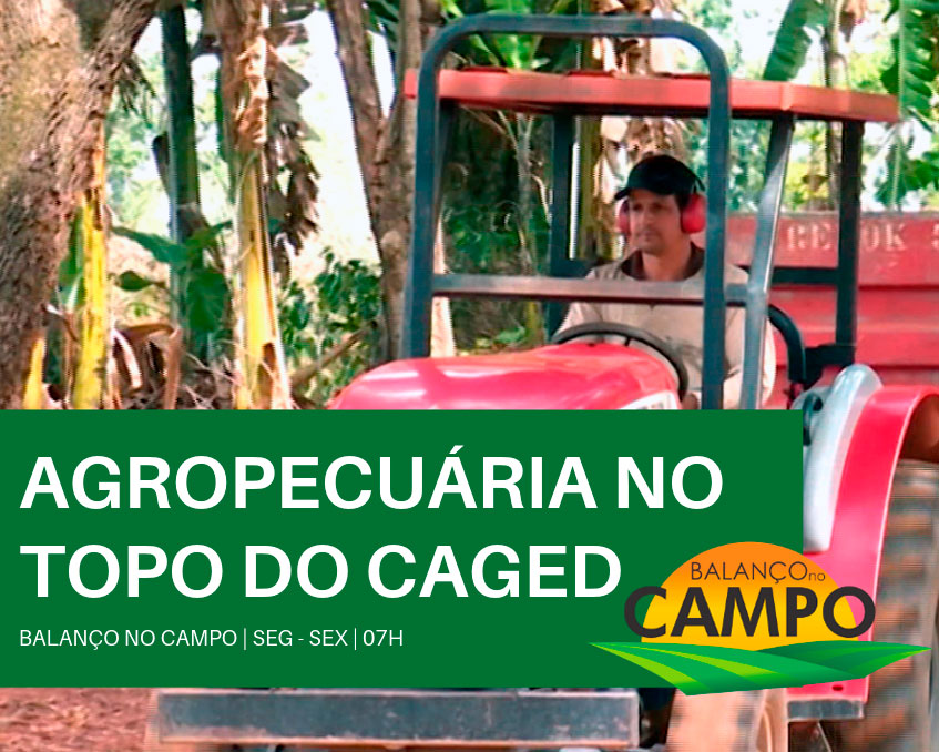 Agropecuária tem maior saldo de empregos no Sul de Minas