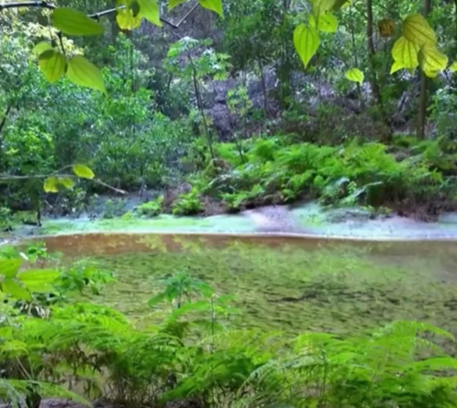 Parque Nacional do Peruaçu reabre para visitação