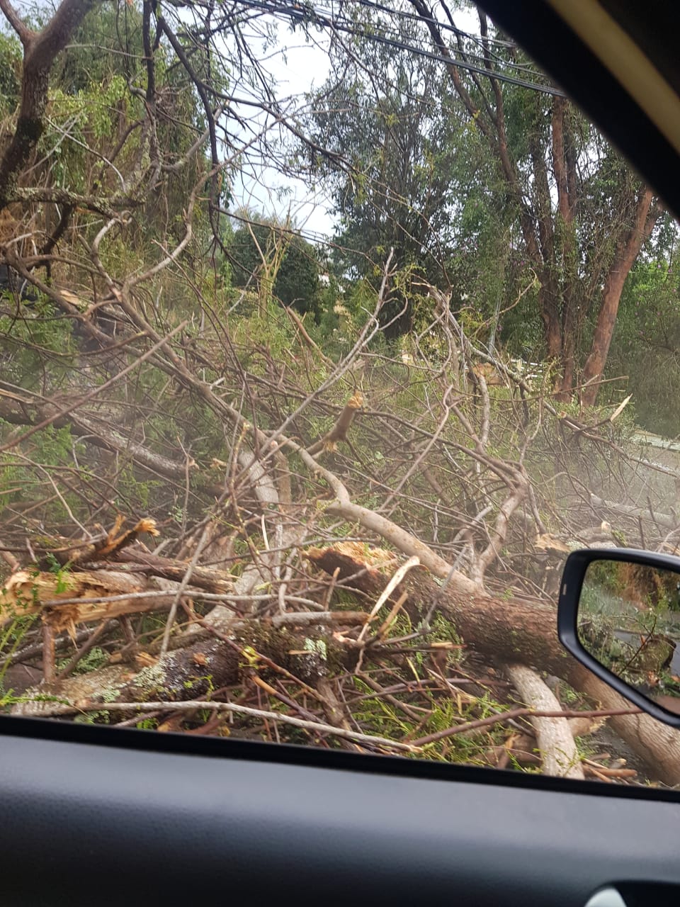 Chuva de granizo atinge cidades do Sul de Minas