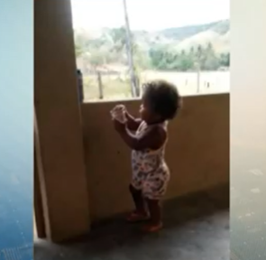 Menina morre depois de ser atacada pelo cão da família no Leste de Minas