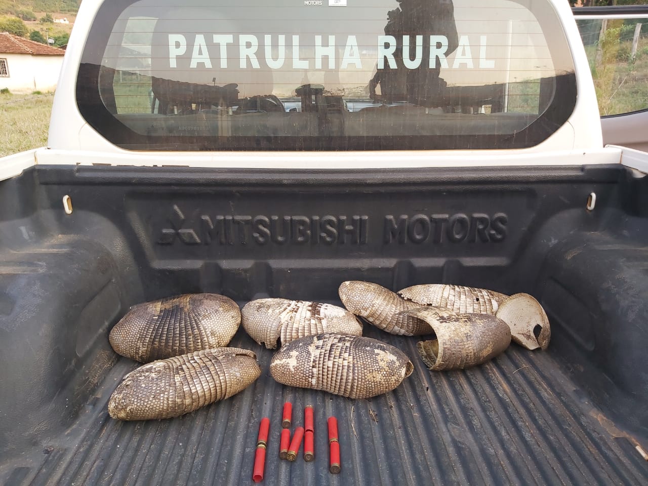 PM apreende munição e cascos de tatu em Cabo Verde