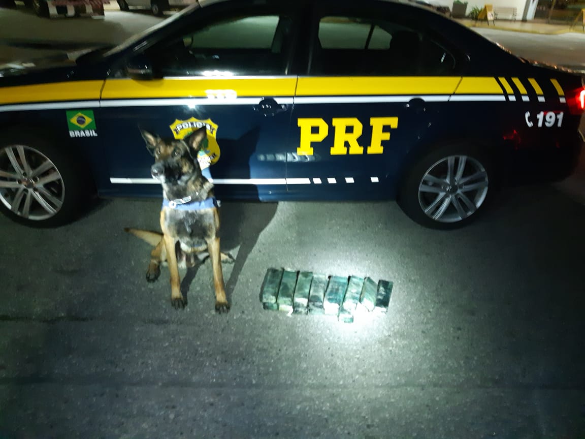 PRF apreende cerca de 10Kg de maconha em ônibus na Fernão Dias.