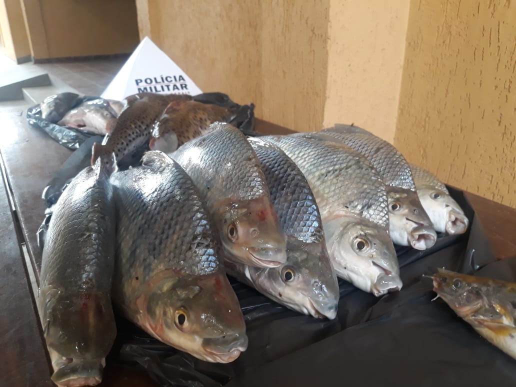 Unaí: homens são presos com espécies de peixes proibidas para pesca