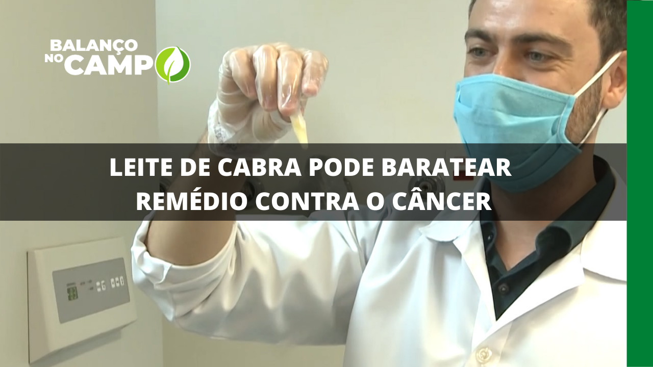 LEITE DE CABRA PODE BARATEAR REMÉDIO CONTRA CÂNCER