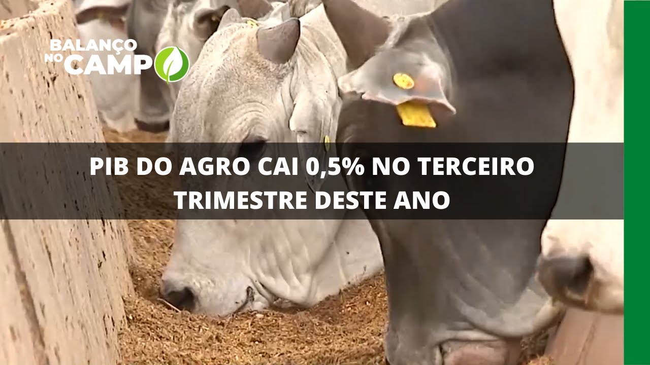 PIB DO AGRO CAI 0,5% NO TERCEIRO TRIMESTRE DESTE ANO