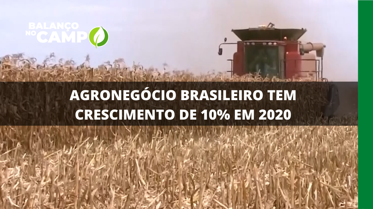 AGRONEGÓCIO BRASILEIRO TEM CRESCIMENTO DE 10% EM 2020