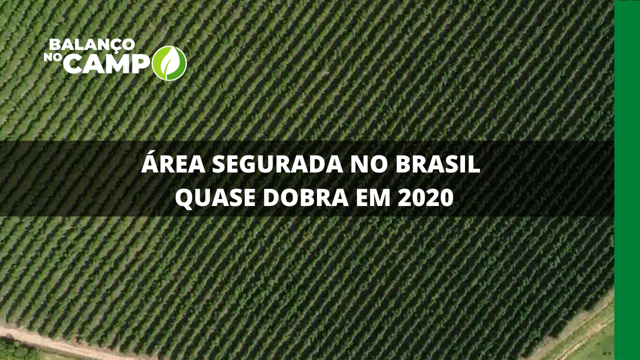 ÁREA SEGURADA NO BRASIL QUASE DOBRA EM 2020