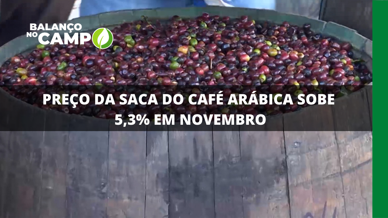 PREÇO DA SACA DO CAFÉ ARÁBICA SOBE 5,3% EM NOVEMBRO