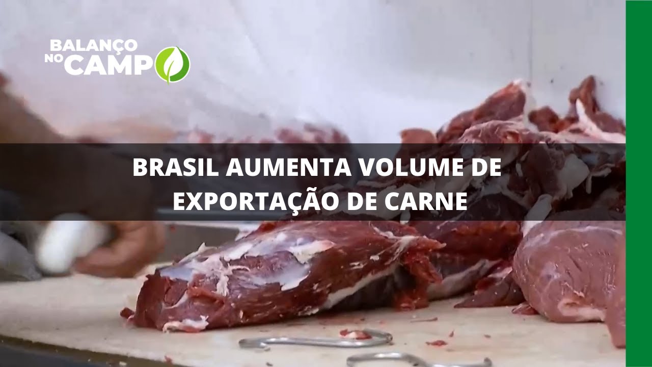 BRASIL AUMENTA VOLUME DE EXPORTAÇÃO DE CARNE