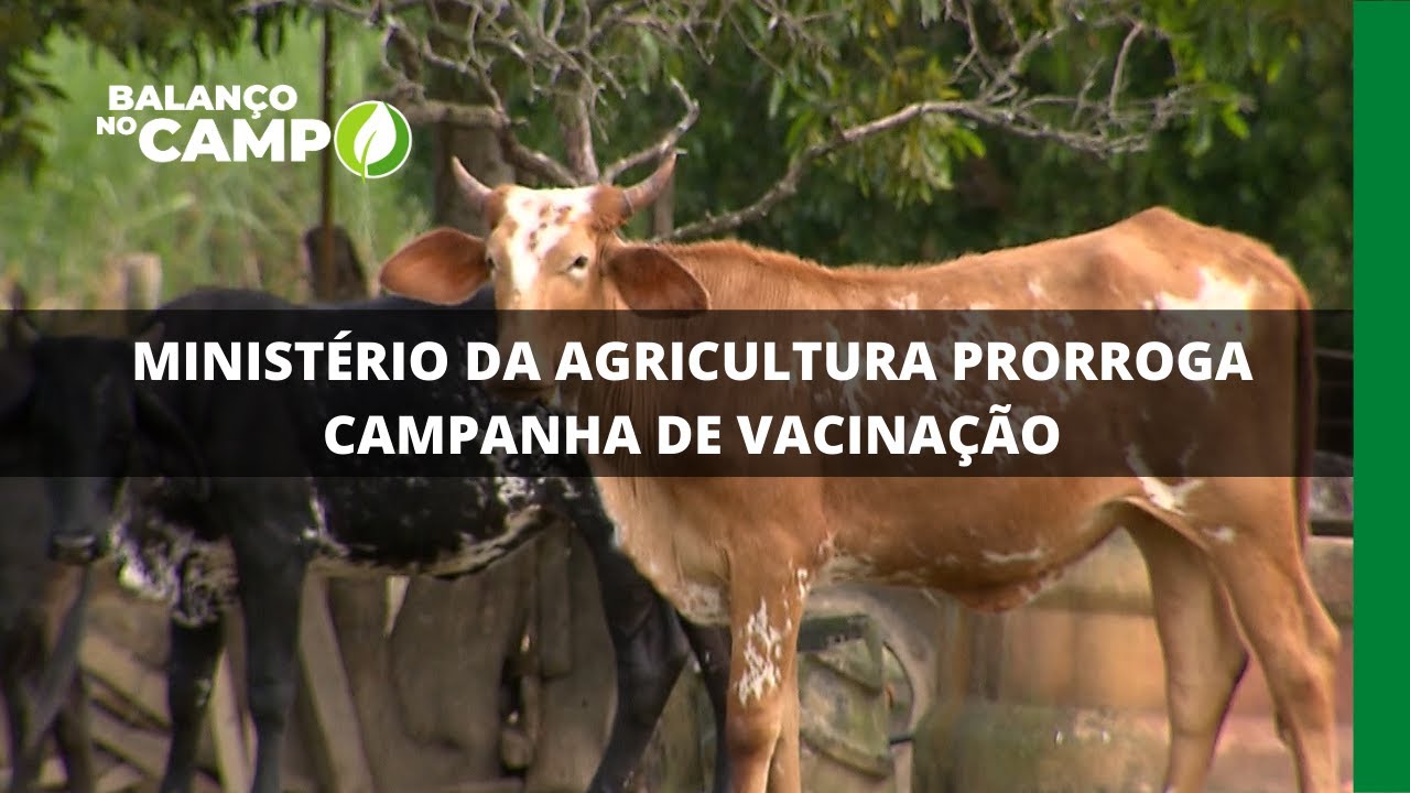 MINISTÉRIO DA AGRICULTURA PRORROGA CAMPANHA DE VACINAÇÃO