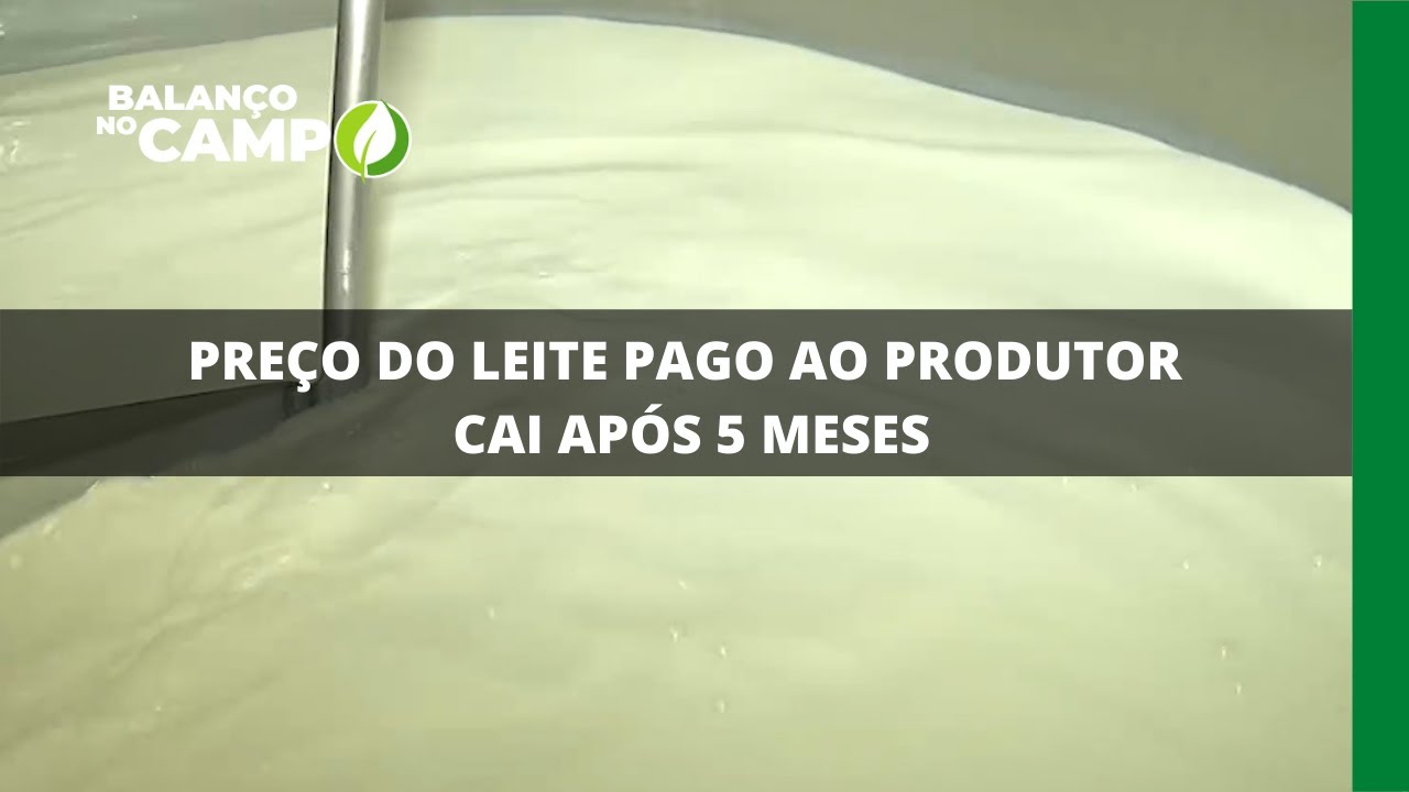 PREÇO DO LEITE PAGO AO PRODUTOR CAI APÓS 5 MESES