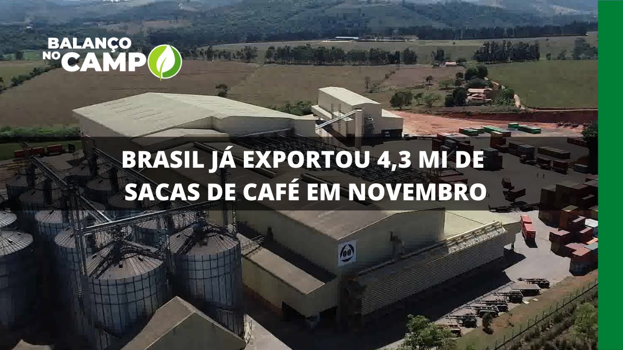 BRASIL JÁ EXPORTOU 4,3 MI DE SACAS DE CAFÉ EM NOVEMBRO