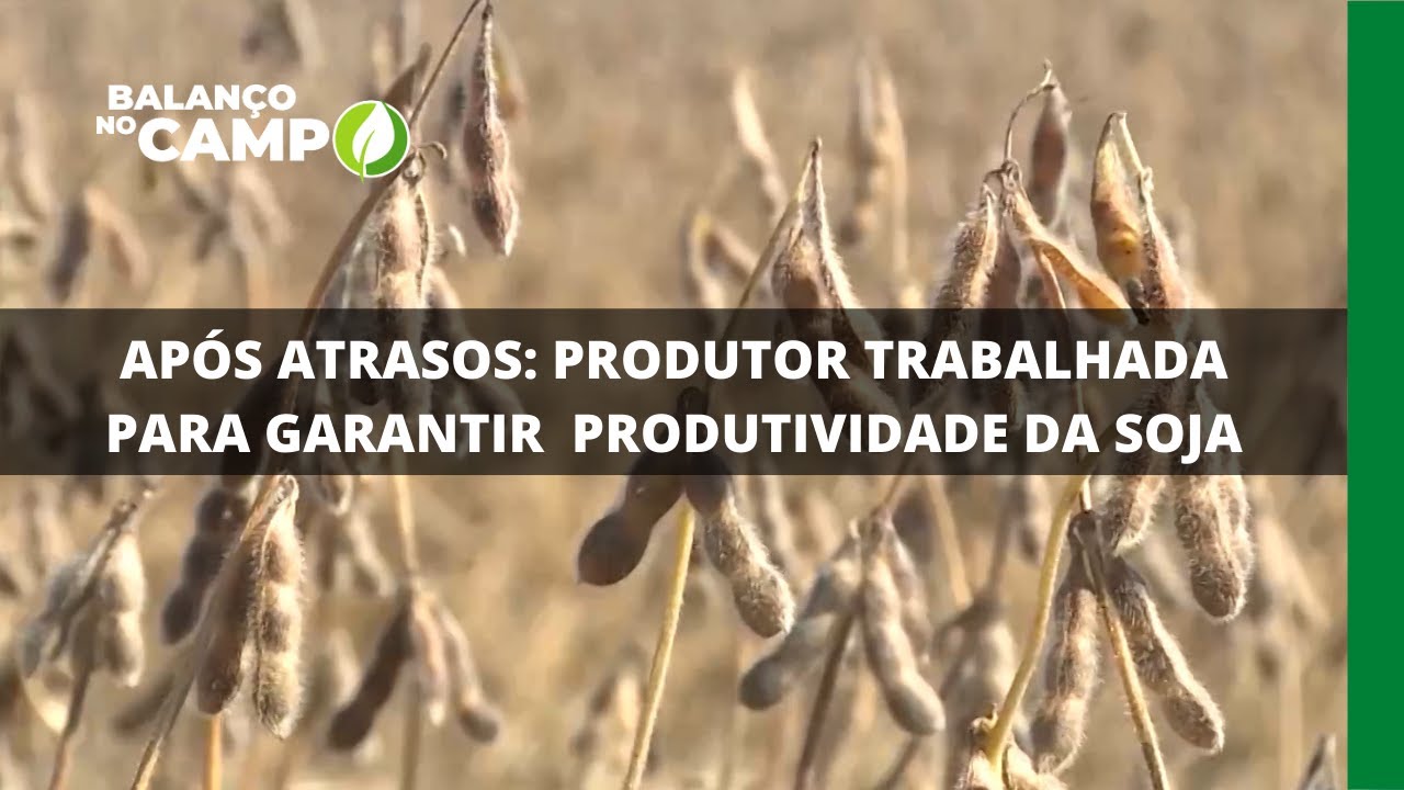 APÓS ATRASOS: PRODUTOR TRABALHADA PARA GARANTIR PRODUTIVIDADE DA SOJA