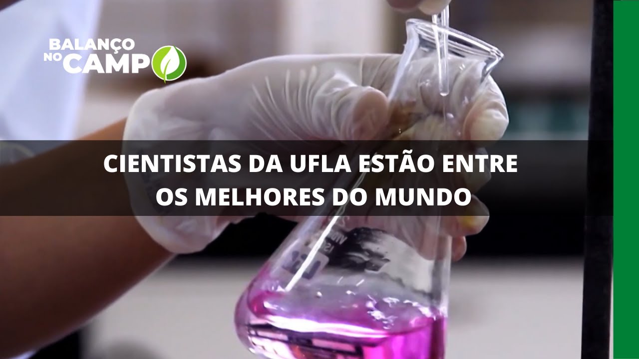 CIENTISTAS DA UFLA ESTÃO ENTRE OS MELHORES DO MUNDO