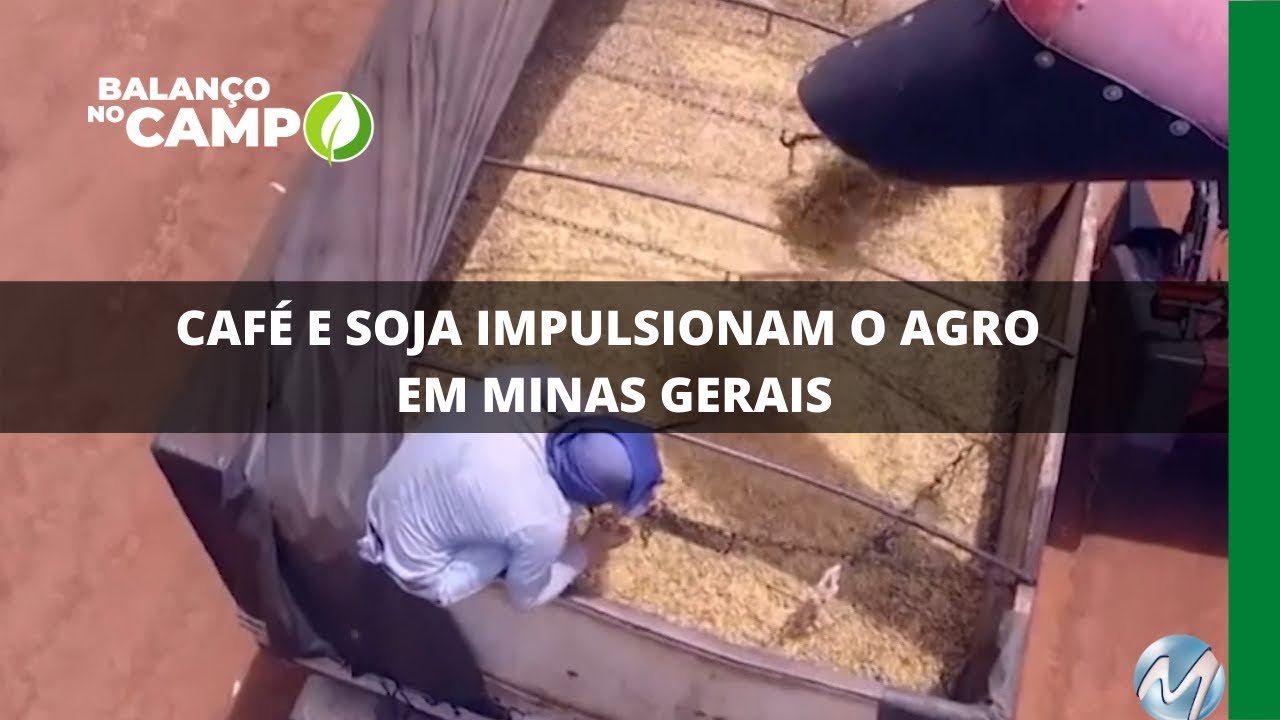 CAFÉ E SOJA IMPULSIONAM O AGRO EM MINAS GERAIS