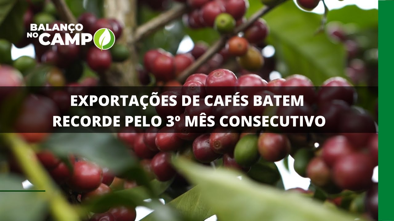 EXPORTAÇÕES DE CAFÉS BATEM RECORDE PELO 3º MÊS CONSECUTIVO