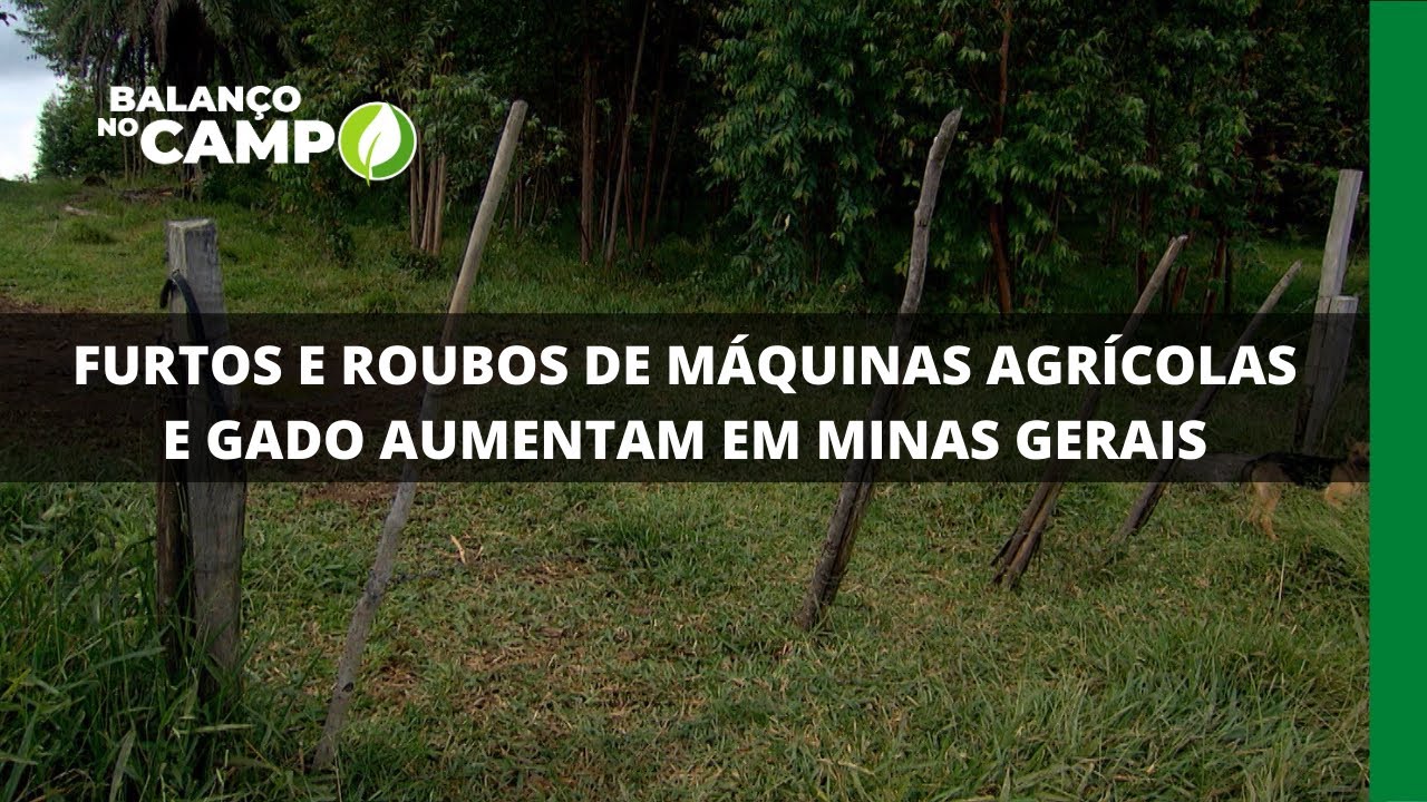 FURTOS E ROUBOS DE MÁQUINAS AGRÍCOLAS E GADO AUMENTAM EM MINAS GERAIS